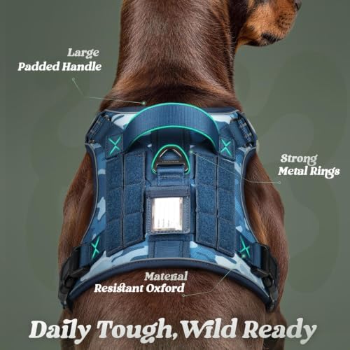 rabbitgoo Tactical Dog Harness for Small Dogs, No Pull Service Pet Vest - Image 6
