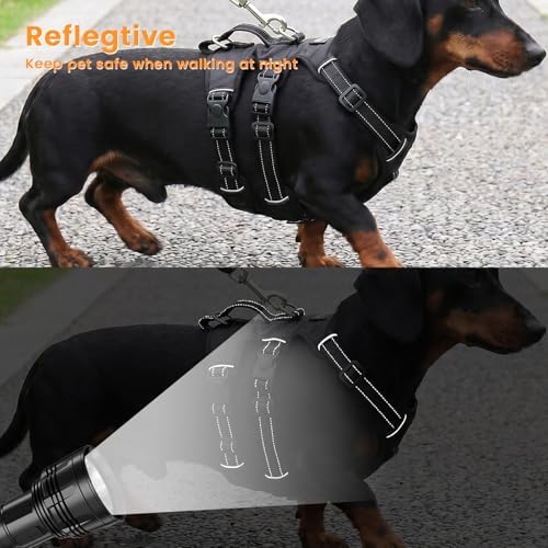 Escape Proof Dog Harness and Leash Set,Soft Padded Full Body Pet Harness, No Pull Reflective Adjustable Dog Vest with Handle, Easy Control Dog Harness for Medium Large Dogs Training Walking Running - Image 6