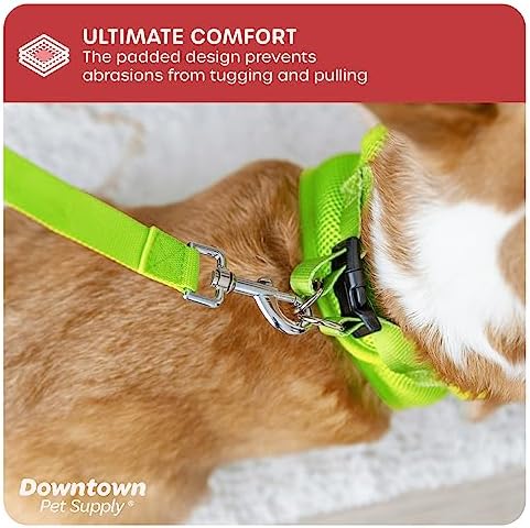 Downtown Pet Supply Step in Dog Harness for Teacup Dogs & Cats No Pull, XX-Small, Atomic Yellow - Adjustable Harness with Padded Mesh Fabric and Reflective Trim - Buckle Strap Harness for Dogs - Image 5