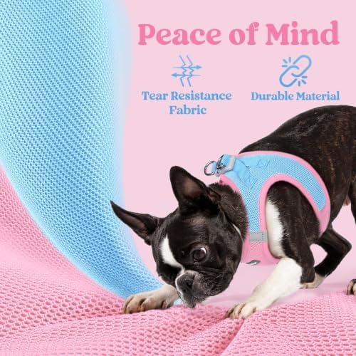 rabbitgoo Step-in Small Dog Harness, Puppy Vest for Small Sized Pet - Image 4