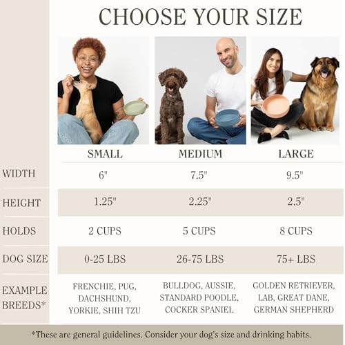 The Perfect Dish - Silicone Dog Bowl for Food & Water, 7.5"x2.25"- Sage - Image 6