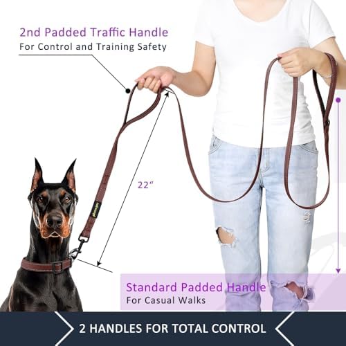 Plutus Pet Double Handle Dog Leash, 4 FT Long, for Medium Large Dogs - Image 4