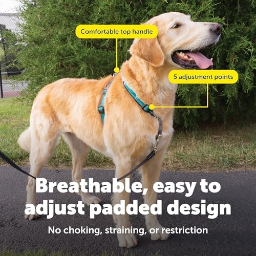 PetSafe Easy Walk 3 in 1 No Pull Dog Harness, Teal, Large - Image 4