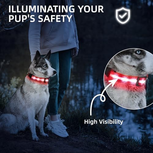 Super Bright LED Dog Collar, Waterproof Light up Collars(Red, S) - Image 5