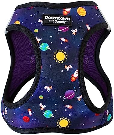 Downtown Pet Supply Step-in Dog Harness – No Pull, Adjustable Padded Mesh with Reflective Trim, Secure Buckle Strap – Comfortable & Breathable Small Dog Harness, X-Small, Space by DowntownPetSupply