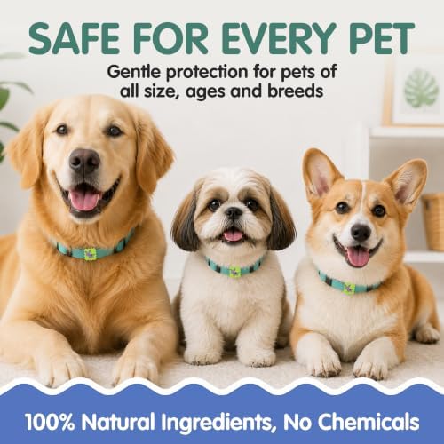 NATPAT Pet Zen Calming Patches for Dogs, Non-Medicated, 24 Count - Image 4