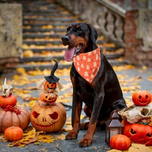 PTDECOR Halloween Dog Bandana, Ghost Pumpkin Dog Scarf, X-Large - Image 2