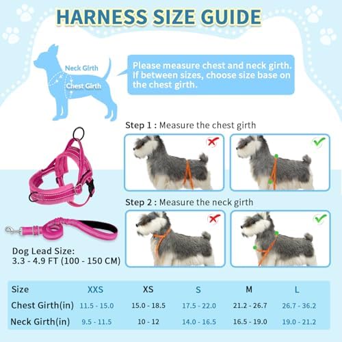 SlowTon No Pull Small Dog Harness and Leash Set with Front Clip - Image 5