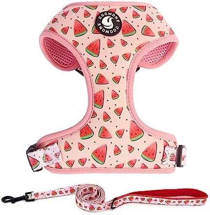 Dog Harness and Leash Set, Adjustable Dog Harness, Dog Leash, No Pull No Choke Puppy Harnesses for Walking Training for Small Medium Pet by COOWONE