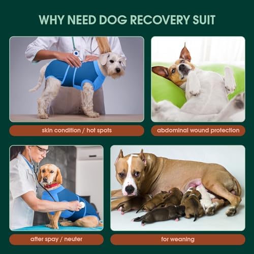 Kuoser Dog Recovery Suit, Female Male Spay Neuter Surgery Suit, Blue, XL - Image 2