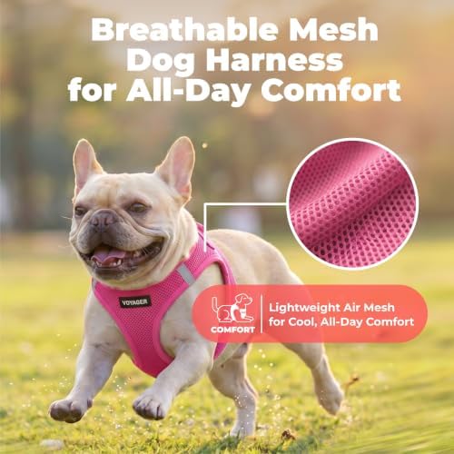 Voyager Step-in Air Dog Vest Harness - Fuchsia, X-Large - Image 5