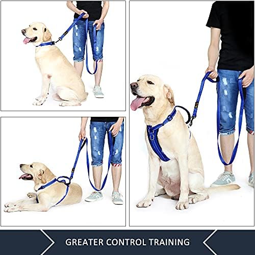 Plutus Pet Double Handle Dog Leash, 4 FT Long, for Medium Large Dogs - Image 3