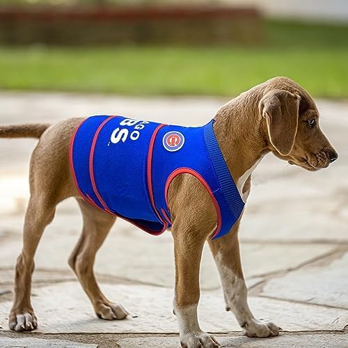 MLB Chicago Cubs Dog Anxiety Shirt Calming Soothing Vest, for Dogs & Cats with Anxiety, Fears, Fireworks, Loud Noises, Dark, Lonely Keeps Dogs Calm and Feeling Safe, Relaxing Jacket, Medium - Image 6