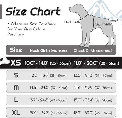 Eagloo Dog Harness for Small Dogs, No Pull Pet Vest with 2 Leash Clips - Image 2