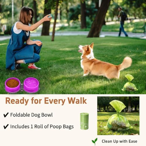 2-in-1 Collapsible Dog Travel Bowl Portable Silicone Carabiner - Image 2