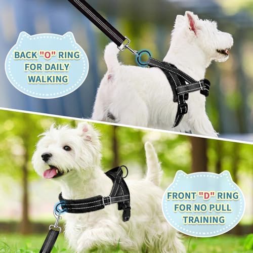 SlowTon No Pull Small Dog Harness and Leash Set with Front Clip - Image 4