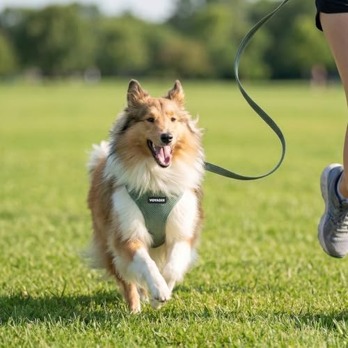 Best Pet Supplies Voyager Step-in Air All Weather Mesh Harness and Reflective Dog 5ft Leash Combo with Neoprene Handle, for Small, Medium and Large Breed Puppies - Moss Green, Small - Image 7