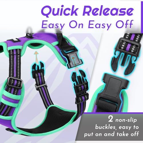 Eagloo Dog Harness for Large Dogs, No Pull Pet Vest with 2 Leash Clips - Image 5