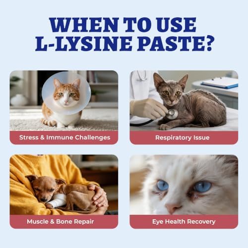Wellix L-Lysine Paste for Cats & Dogs with Taurine & Vitamins 2oz - Image 3