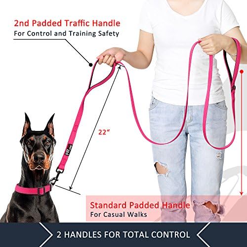 Plutus Pet Double Handle Dog Leash, 4 FT Long, for Medium Large Dogs - Image 2