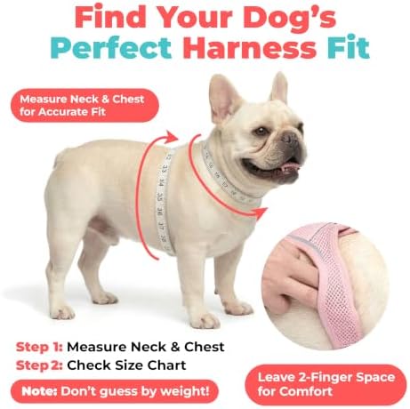 Voyager Step-in Air Dog Vest Harness - Sky Blue, XXX-Small - Image 6