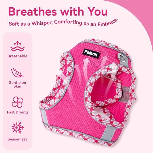 Petank Step in Dog Harness No Pull and Leash for Small Medium Dogs Cats. - Image 3