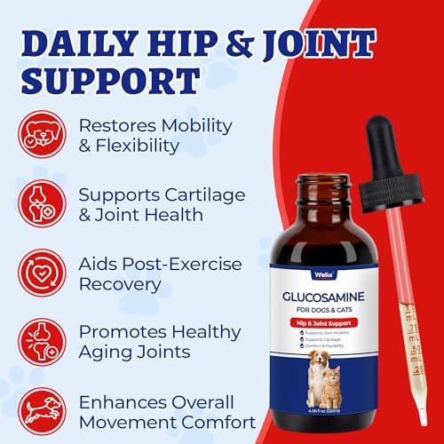Wellix 4 oz Joint Supplement Drops for Dogs & Cats - Mild Turmeric Formula - Image 2