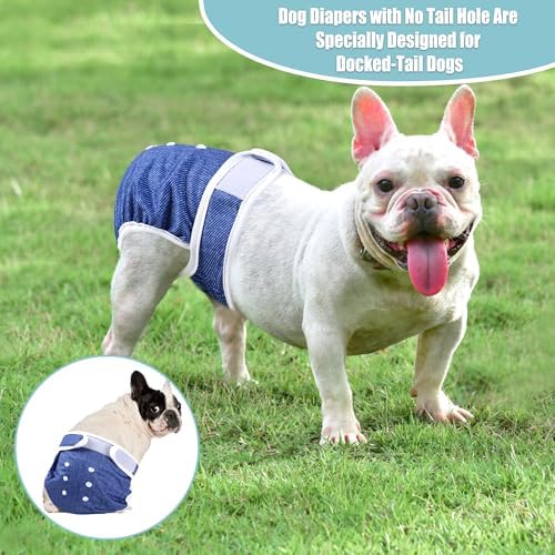 wegreeco Frenchie Dog Diapers Female No Tail Hole,Washable Pet French Puppy Bulldog Diapers Female for Period Heat,Reusable Doggy Doggie Dog Diapers （Jeans Small） - Image 2
