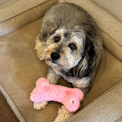 SPOT Soothers Warm Hug Bone - Calming Plush Dog Toy with Lavender Scented Beads, Removable Squeaker, Microwavable Warming Pouch, Separation Anxiety Relief, for Small to Medium Dogs and Puppies, 9in - Image 6