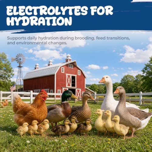 Chick Probiotic Powder with Vitamins & Electrolytes, Gut Balance & Growth - Image 5