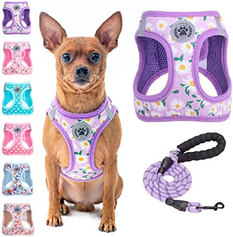 BEAUTYZOO Small Dog Harness and Leash Set,No Pull Puppy Vest- Floral, 2XS by BEAUTYZOO