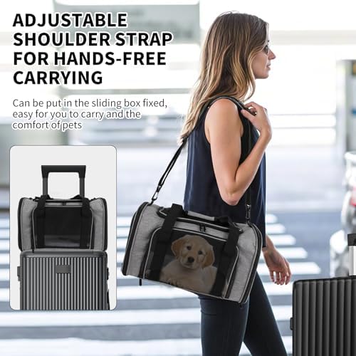 Carriers Soft-Sided Pet Carrier for Medium Large Cats Dogs 15lbs 20lbs,Ventilated Design,Portable Carry Handle,Collapsible Carrier for Kitten Puppy(X-Large,Grey&Black) - Image 2