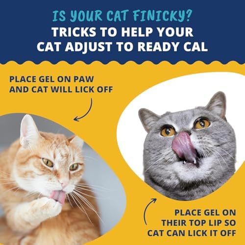 Under The Weather Pet | Ready Cal for Cats 100cc | High Calorie Supplement | Cat Weight Gainer and High Calorie Booster | 10 Vitamins, 7 Minerals & Omega Fatty Acids (2 Pack) - Image 4
