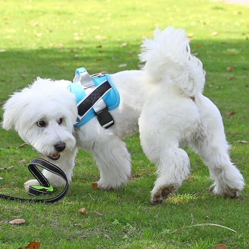 Bolux Dog Harness, No-Pull Reflective Dog Vest, Breathable Adjustable Pet Harness with Handle for Outdoor Walking - No More Pulling, Tugging or Choking (OceanicBlue, Medium (Pack of 1)) - Image 6