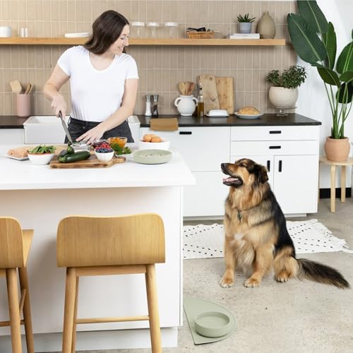 The Perfect Dish - Silicone Dog Bowl for Food & Water, 7.5"x2.25"- Sage - Image 4