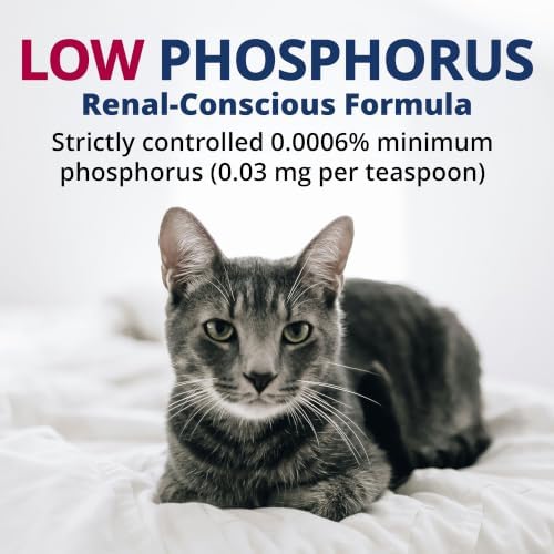 Under The Weather Pet Kidney Cal for Cats 80cc | High Calorie Cat Kidney Support Supplement with Low Phosphorus, Potassium Gluconate & Electrolytes | Vet Formulated Salmon Flavor Gel - Image 3