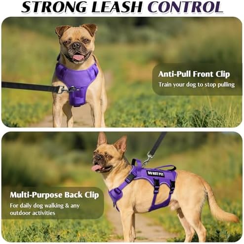 WINSEE Escape Proof Dog Harness with Double Handle+4 Removable Patches - Image 4