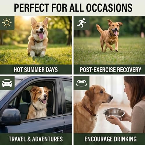 Dogs Electrolyte Supplement - Beef Broth – Hydration Support – 20 Tabs - Image 6