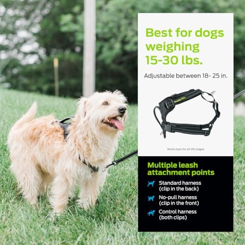 Premier Pet No Pull Comfort Dog Harness, Black, Small - Image 4