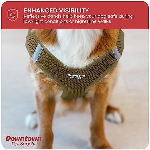 Downtown Pet Supply Step in Dog Harness for Teacup Dogs & Cats No Pull, XX-Small, Hunter Green - Adjustable Harness with Padded Mesh Fabric and Reflective Trim - Buckle Strap Harness for Dogs - Image 7