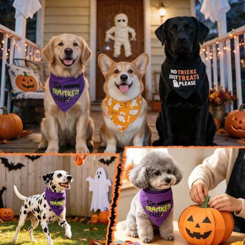Halloween Dog Bandanas with So Franken Cute Sign, 5-30lbs Pet - Image 4
