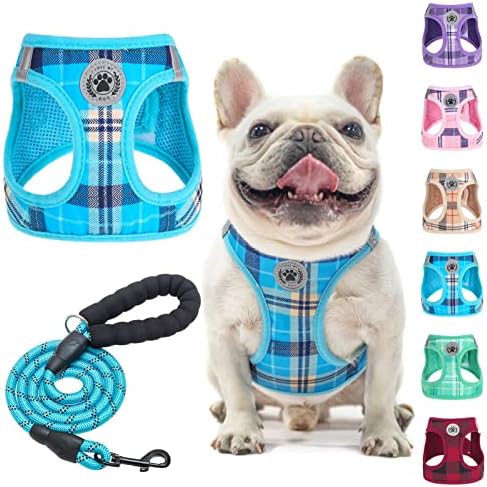 BEAUTYZOO Dog Harness Medium Sized and Leash Set,No Pull Pet Vest - Blue, M by BEAUTYZOO