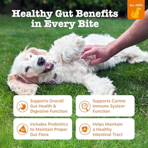 Zesty Paws Ancient Elements Probiotics for Dogs - Gut Health for Dogs, Bison, 90 Ct - Image 2