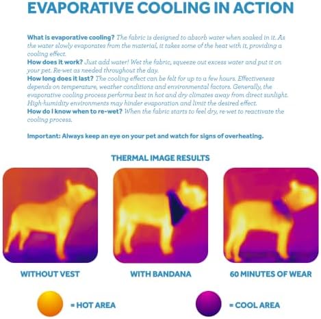 RC Pet Products Innovative, Lightweight, Stylish, Zephyr Cooling Bandana, Dog Cooling Bandana | Large, Ice Cream - Image 3