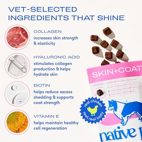 Native Pet Skin & Coat Chews - Omega 3 Fish Oil for Dogs Skin & Coat Supplement - Itch Relief, Shiny Fur & Shedding Support - Collagen, Hyaluronic Acid, Biotin, Probiotics & Salmon Oil - 30 Chews - Image 4