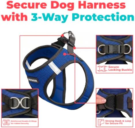 Voyager Step-in Air Dog Vest Harness - Royal Blue/Black Trim, X-Small - Image 2