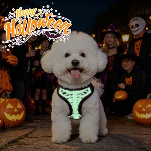KOOLTAIL Halloween Dog Harness and Leash Set for Small Medium Dogs,Step in No Pull Soft Mesh Comfort Padded Pet Vest Harness,Glow-in-Dark Skeleton Design Easy Walking Puppy&Cat Harness for Holiday S - Image 3