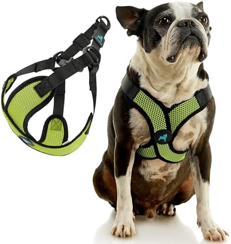 Gooby Comfort X Step-in Lite Harness, Choke-Free, Green, X-Small - Image 3