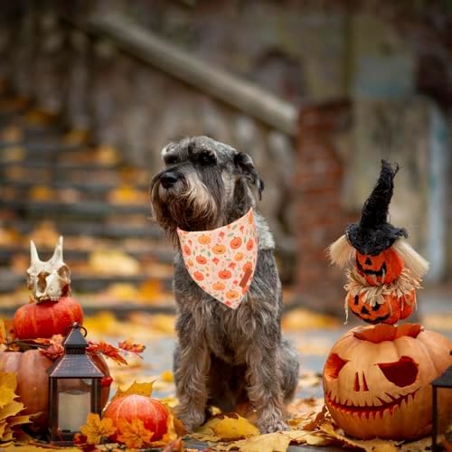 PTDECOR Halloween Dog Bandana, Ghost Pumpkin Dog Scarf, Small - Image 3