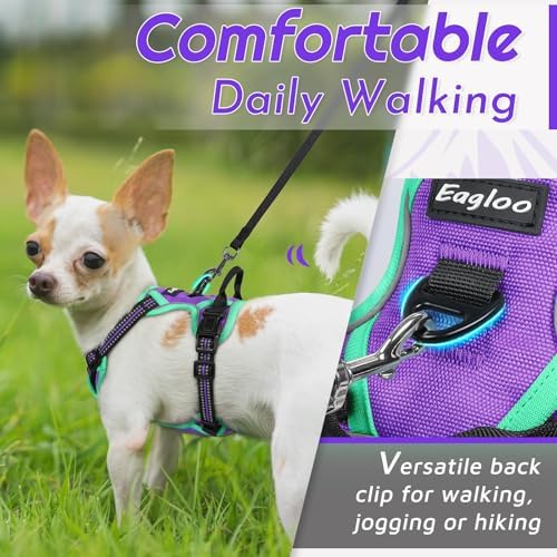 Eagloo Dog Harness for Small Dogs, No Pull Pet Vest with 2 Leash Clips - Image 3